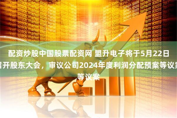 配资炒股中国股票配资网 盟升电子将于5月22日召开股东大会，审议公司2024年度利润分配预案等议案