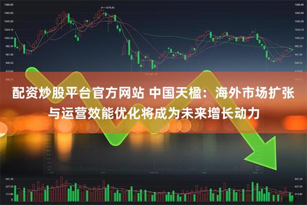 配资炒股平台官方网站 中国天楹：海外市场扩张与运营效能优化将成为未来增长动力