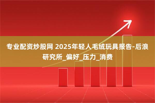 专业配资炒股网 2025年轻人毛绒玩具报告-后浪研究所_偏好_压力_消费
