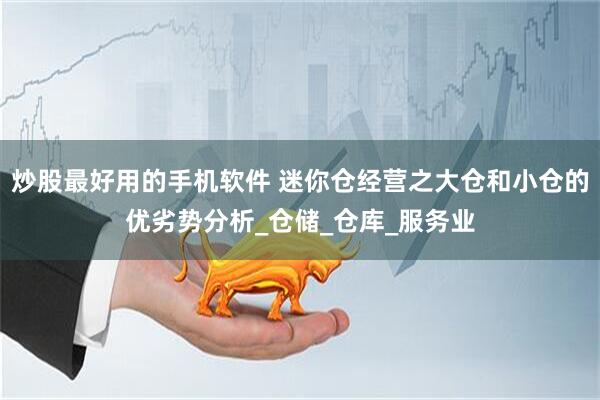 炒股最好用的手机软件 迷你仓经营之大仓和小仓的优劣势分析_仓储_仓库_服务业